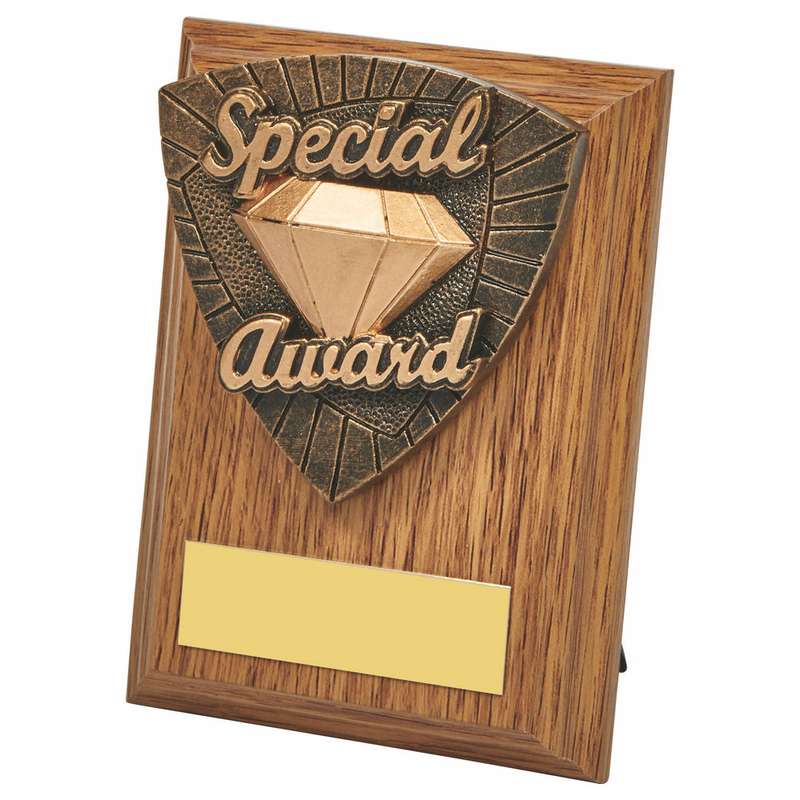 Wood Plaque with Resin Special Award Trim 100mm – Light Oak