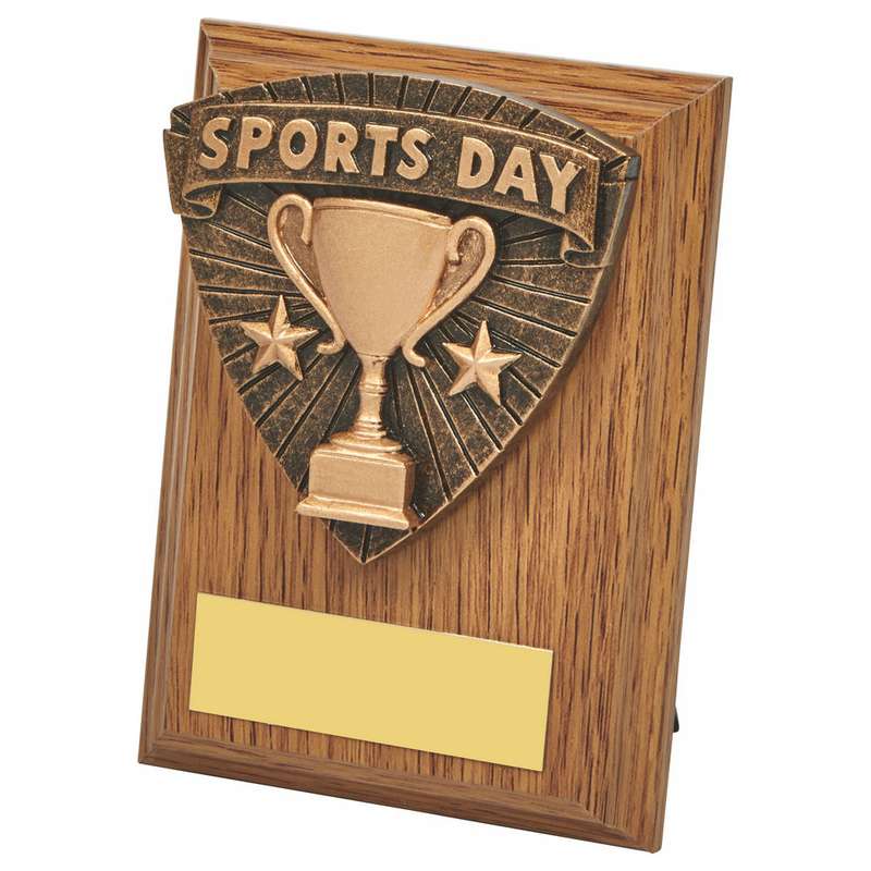 Wood Plaque with Resin Sports Day Trim 100mm – Light Oak