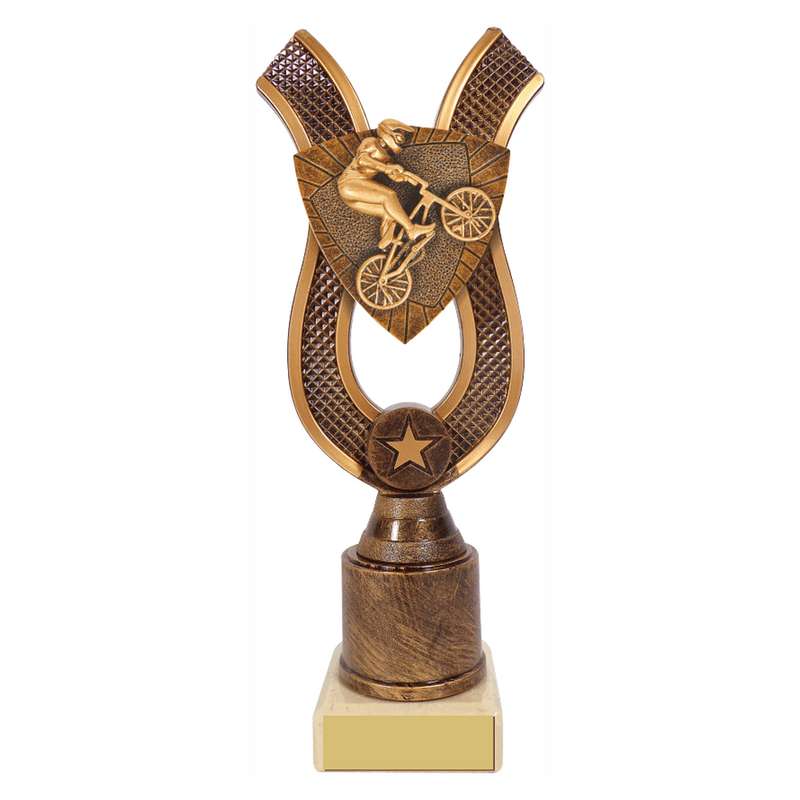 Antique Gold Ribbon Award with Resin BMX Trim 180mm – Ant Gold