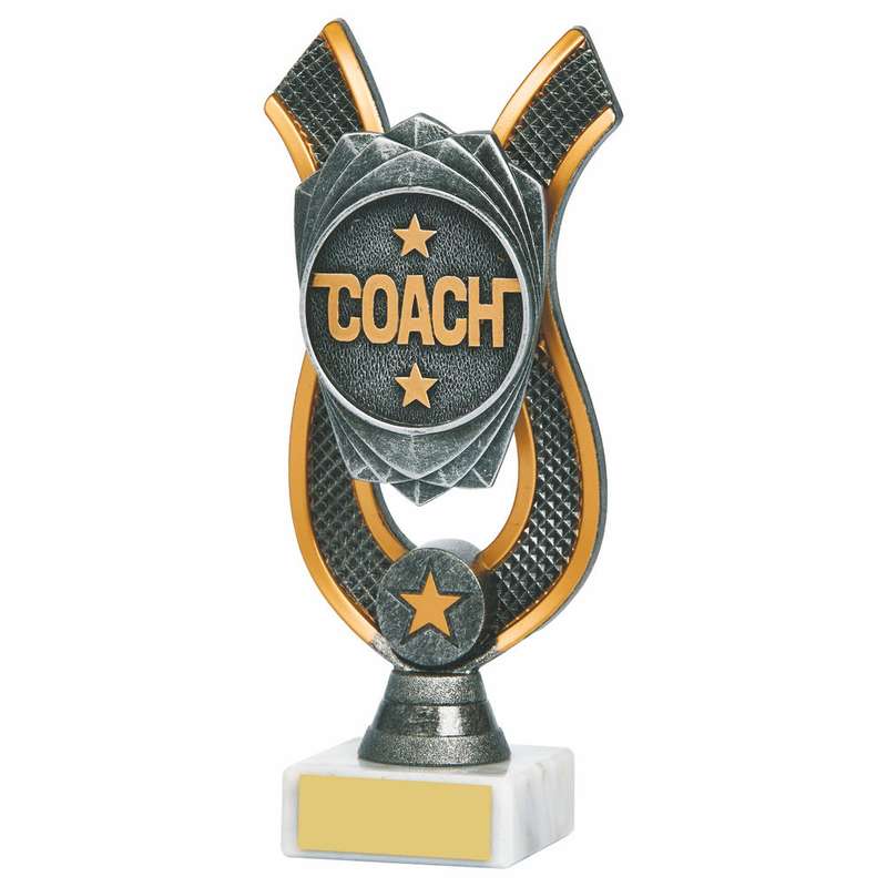 Coach Award 180mm – Ant Silver