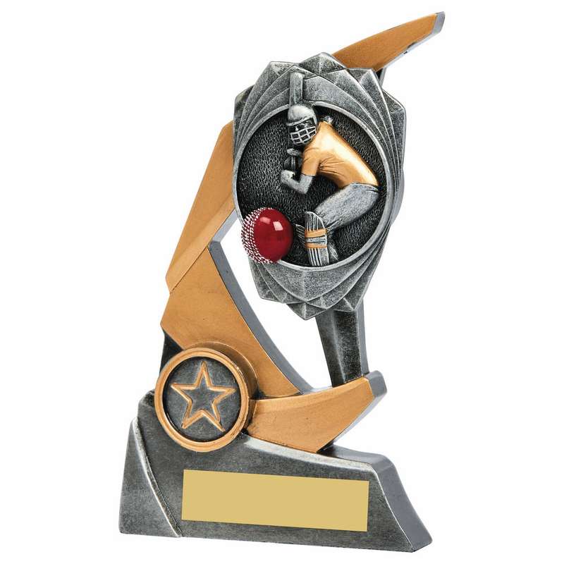 Resin Claw Award – Cricket Batsman 170mm – Ant Silver