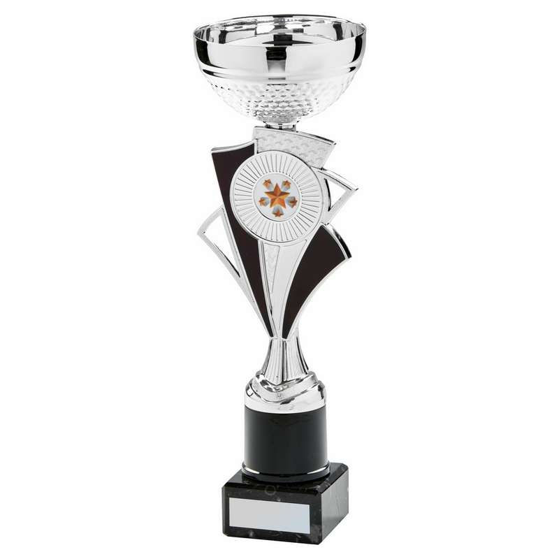 Silver Black Bowl Award 270mm – Silver/Black