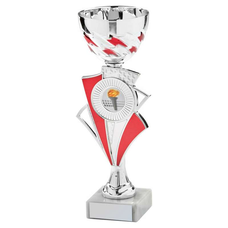 Silver/Red Bowl Award Cup 270mm – Silver/Red
