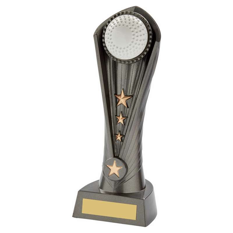Gun Metal Silver “Cobra” Hockey Award 230mm – Ant Silver