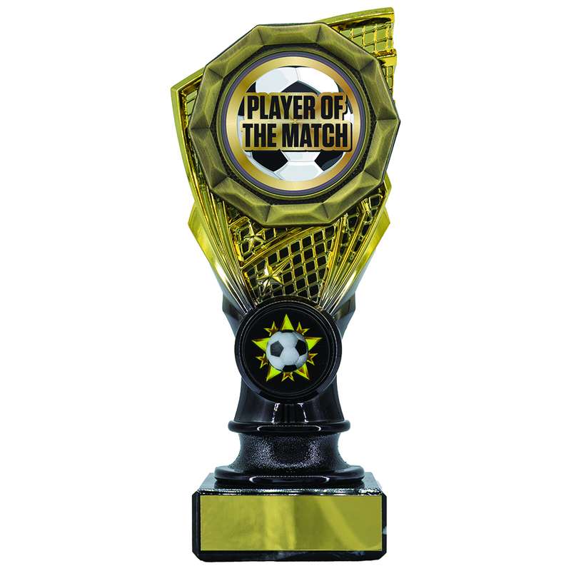 Shard Holder Trophy with Player of the Match 150mm – Gold/Black