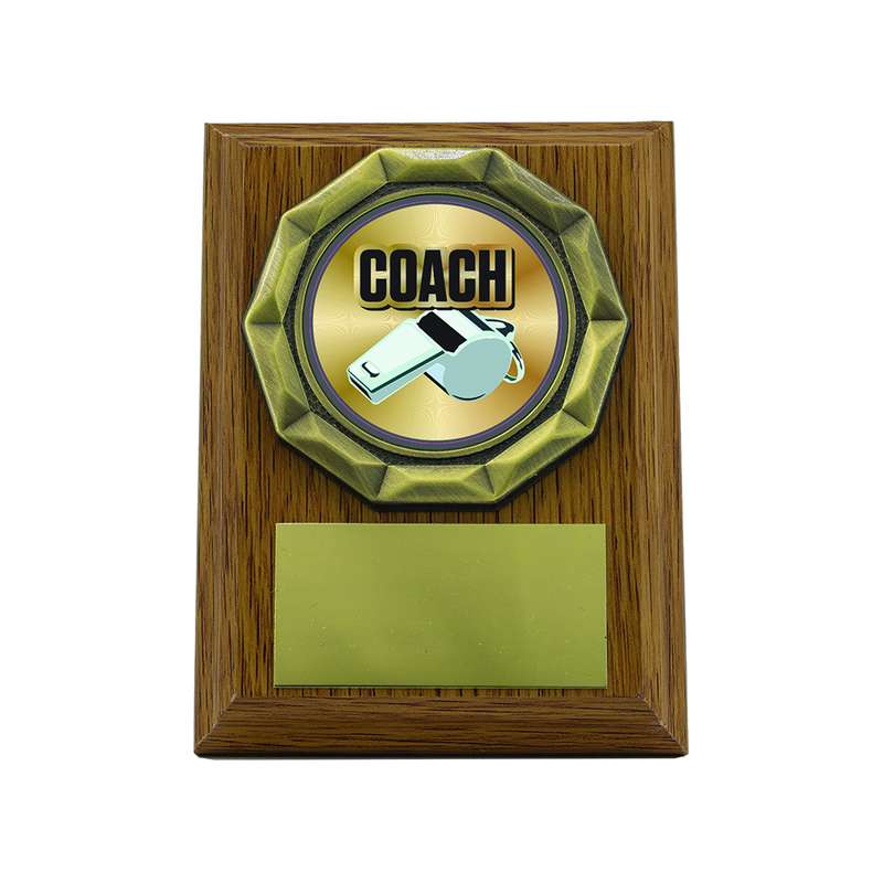 Light Oak Plaque with Coach Trim 100mm – Light Oak