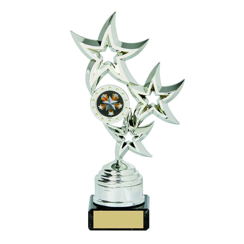 Silver Star Trophy 195mm – Silver