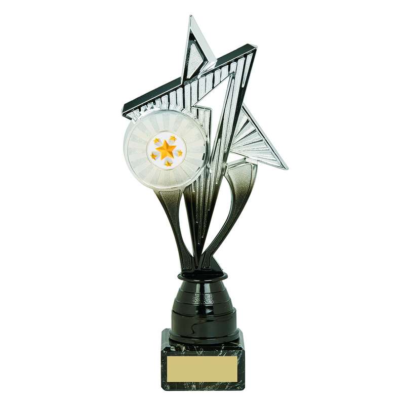 Silver/Black Holder Trophy 240mm – Silver/Black