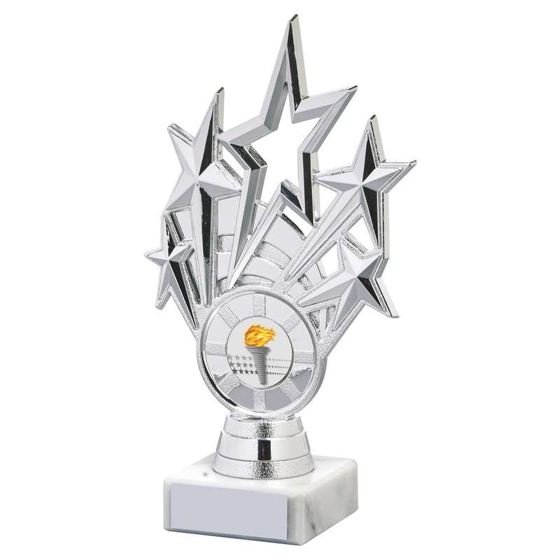 Silver Star Holder/Silver Tube Award 260mm – Silver