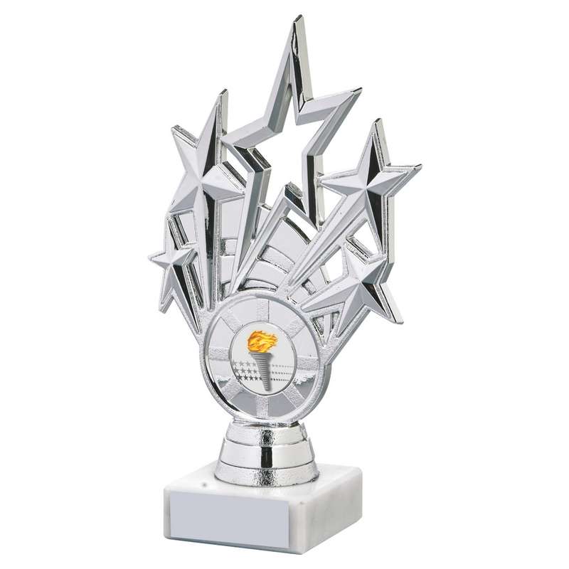 Silver Star Holder/Black Tube Award 260mm – Silver/Black