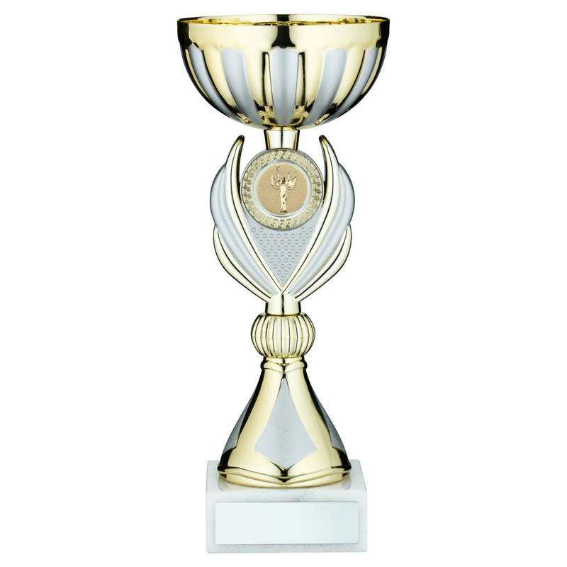 GOLD/MATT SILVER TROPHY CUP WITH PLATE (1in CENTRE) – 8.75in
