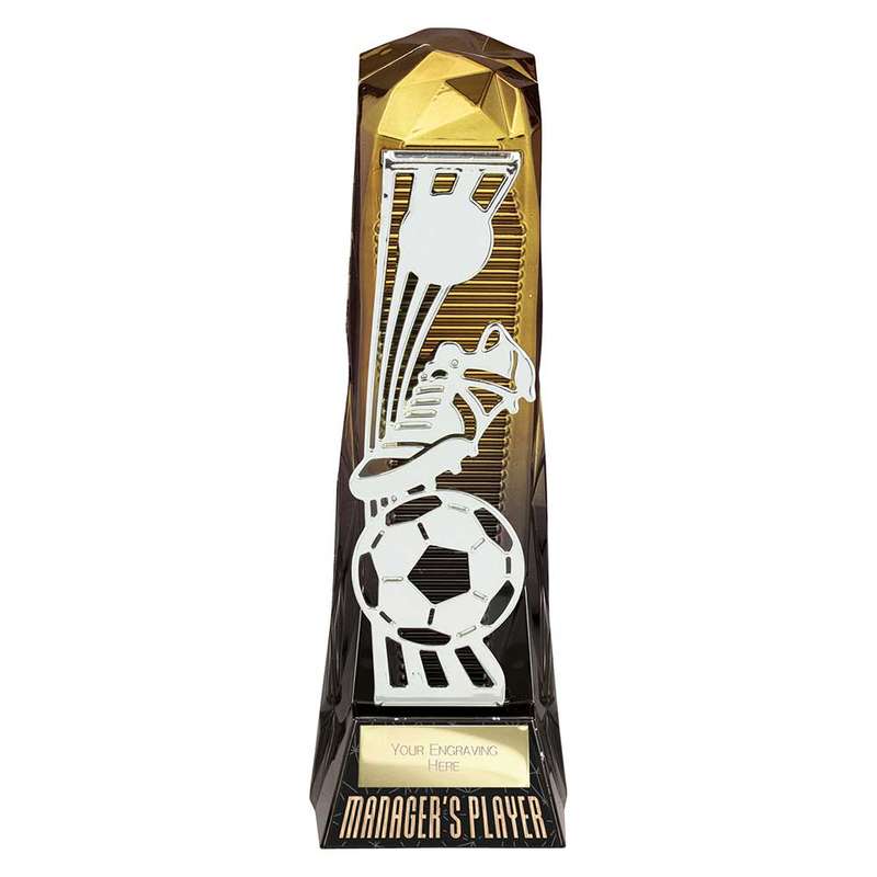 Shard Football Managers Player Award
