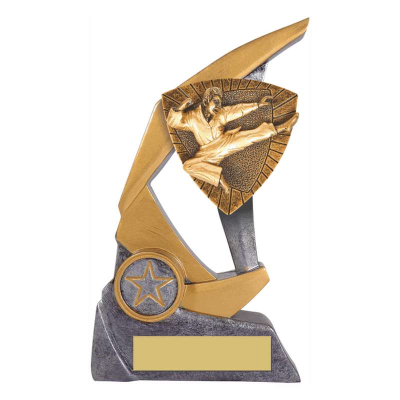 Antique Silver Resin Claw Trophy with Karate Trim 150mm – Ant Silver