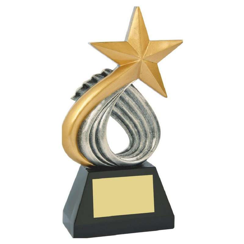 Gold Star Resin Award 250mm – Silver/Gold