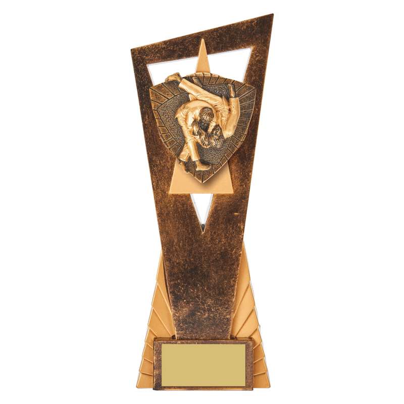 Antique Gold Edge Judo Award 230mm – Ant Gold