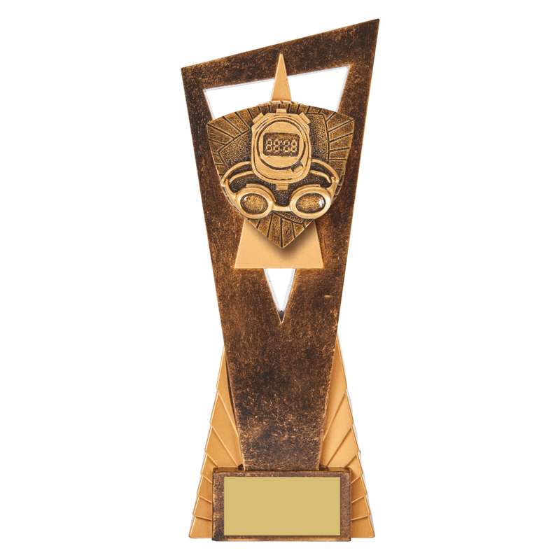 Antique Gold Edge Swimming Award 230mm – Ant Gold